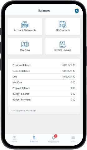 Account Balances